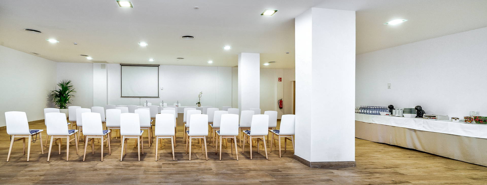 Globales Mimosa Obrázok33