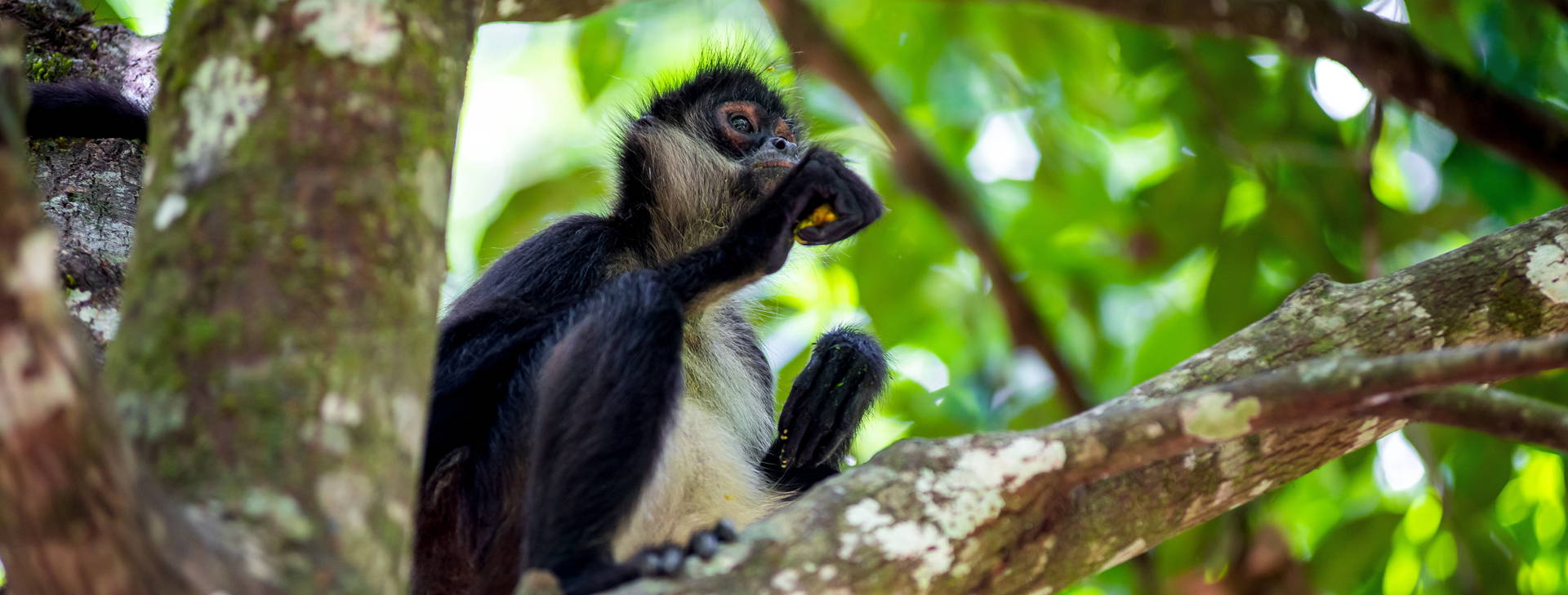 Ubytování MBH Obrázok8