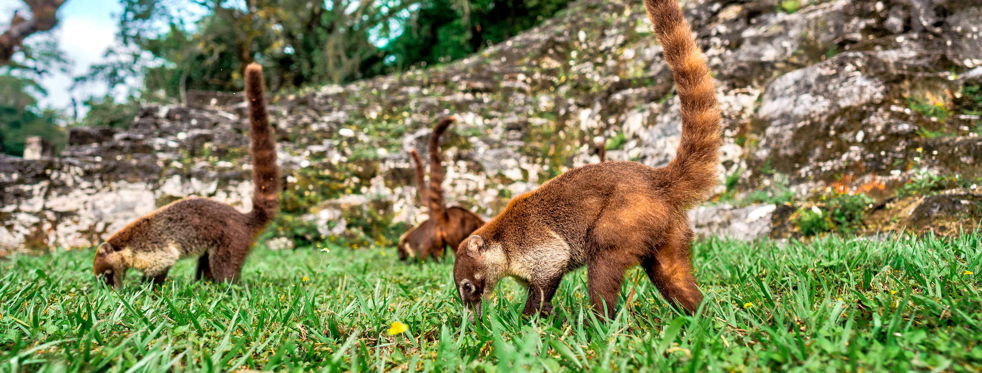 Ubytování MBH Obrázok11