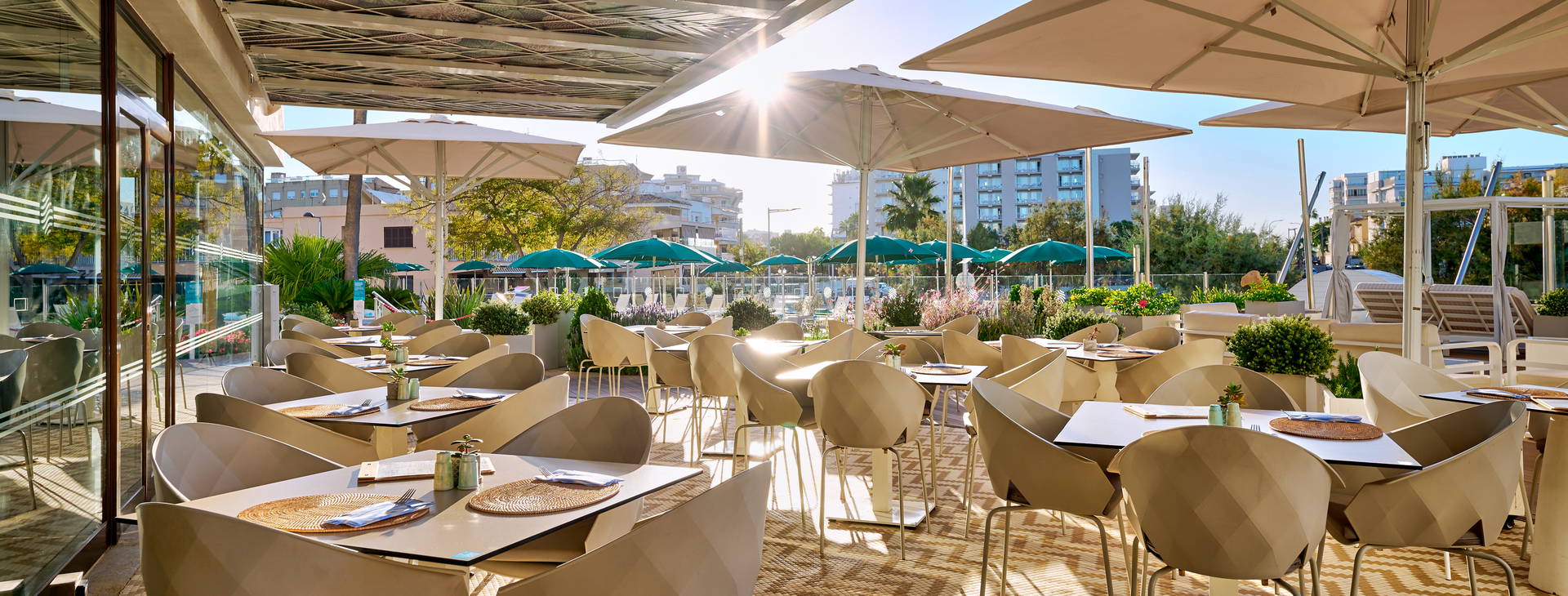 AluaSoul Palma Obrázok32