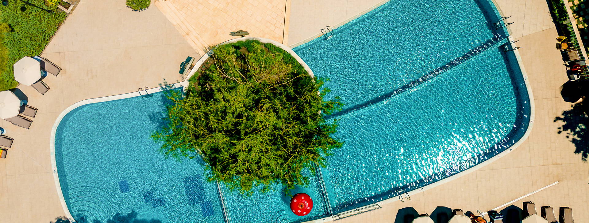 Festa Via Pontica Obrázok8