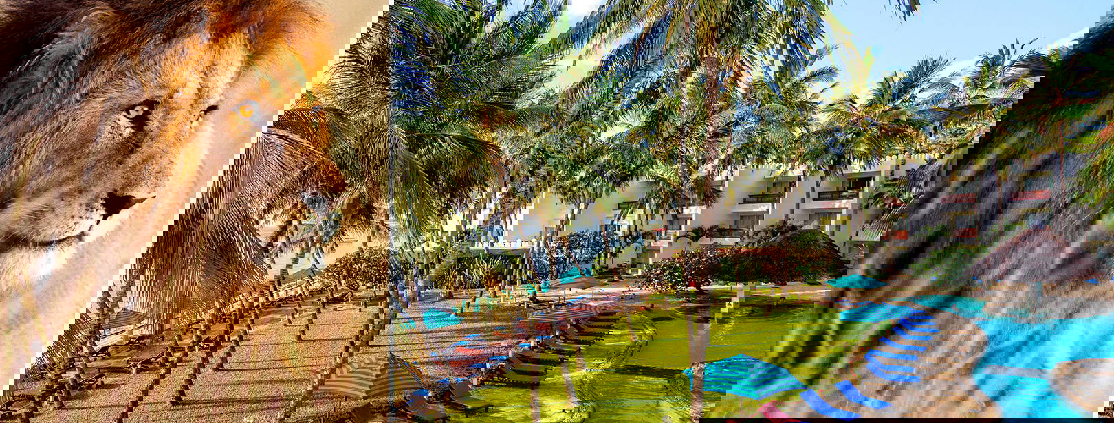 Bamburi Beach KST Obrázok0