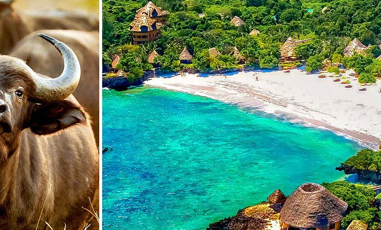 The Sands at Chale Island KSS-obr