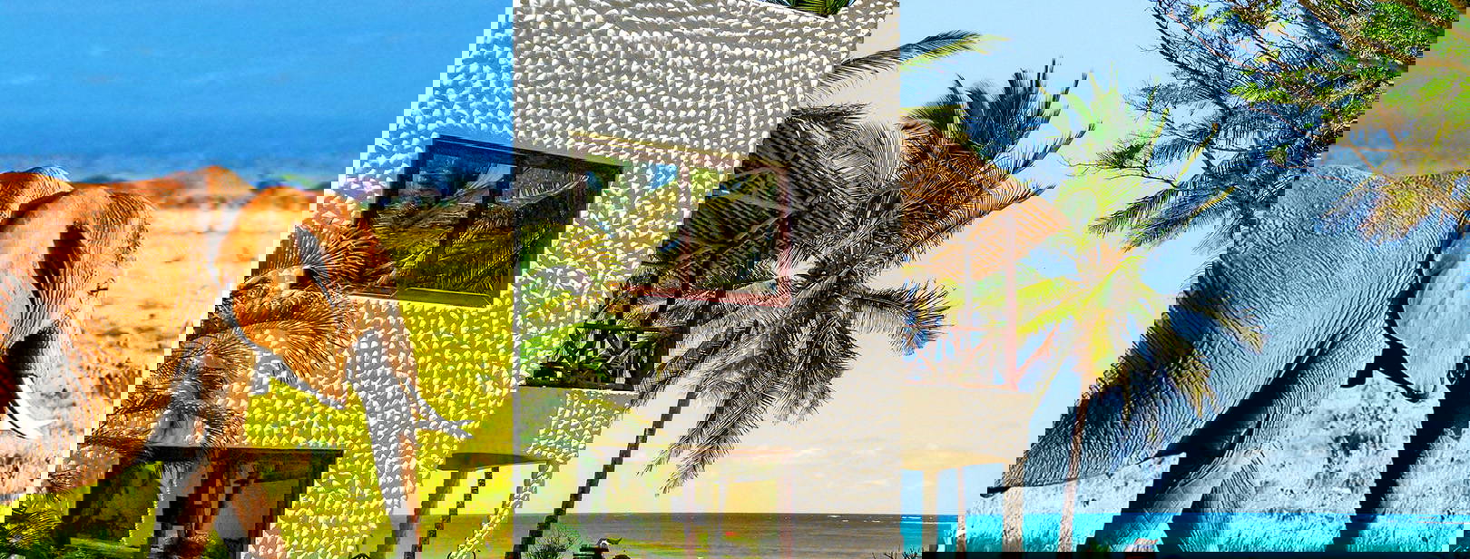 Jacaranda Indian Ocean Beach Resort KSS Obrázok0