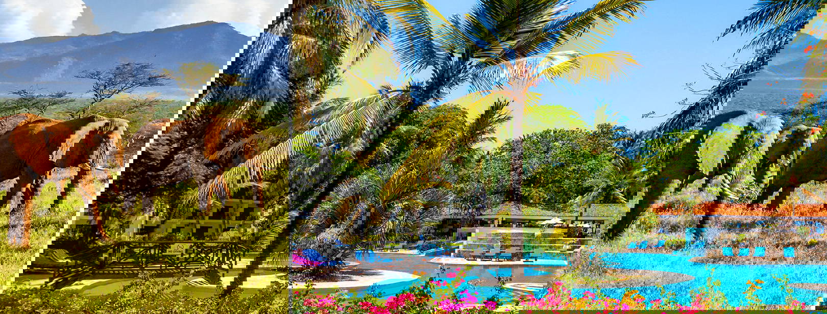 Diani Sea Resort (3 noci + 4 noci poznávací část) Obrázok0