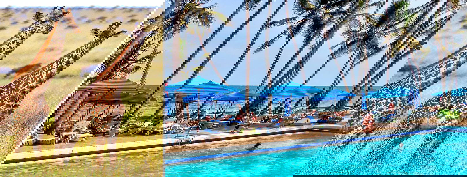 Kenya Bay KST Obrázok0