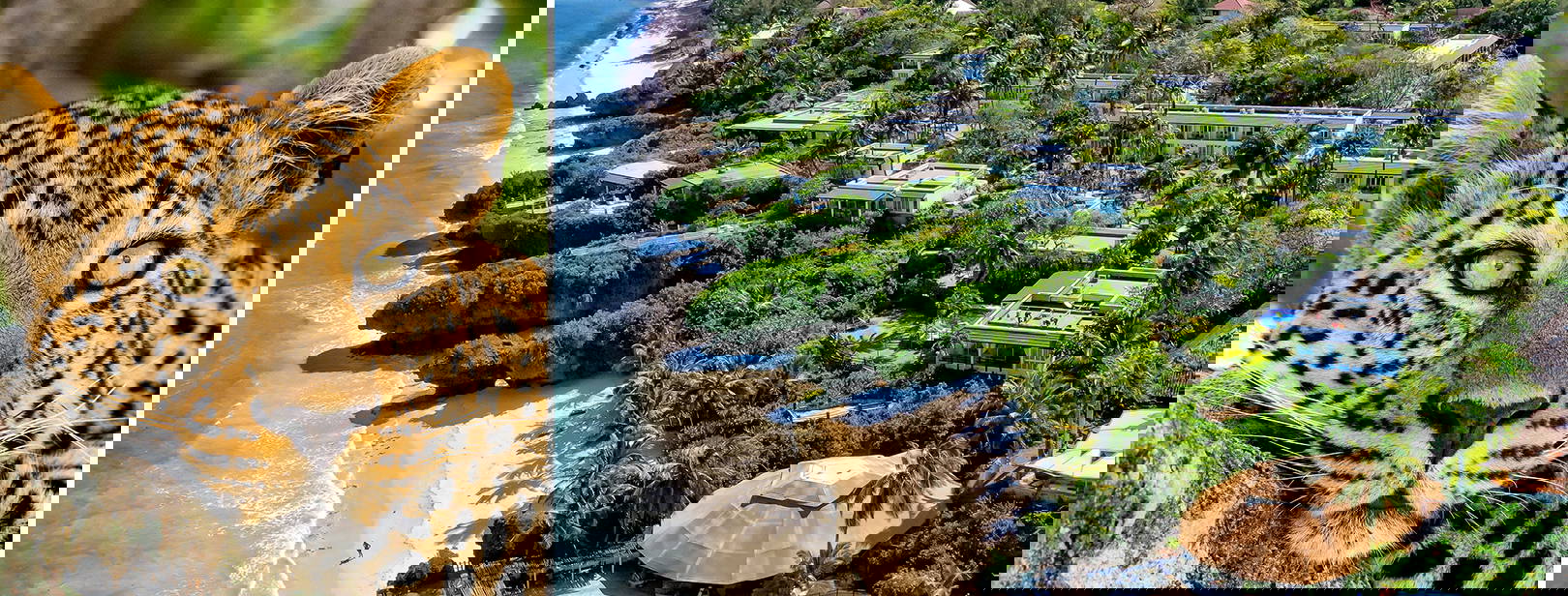 Leopard Beach Resort & SPA KST Obrázok0