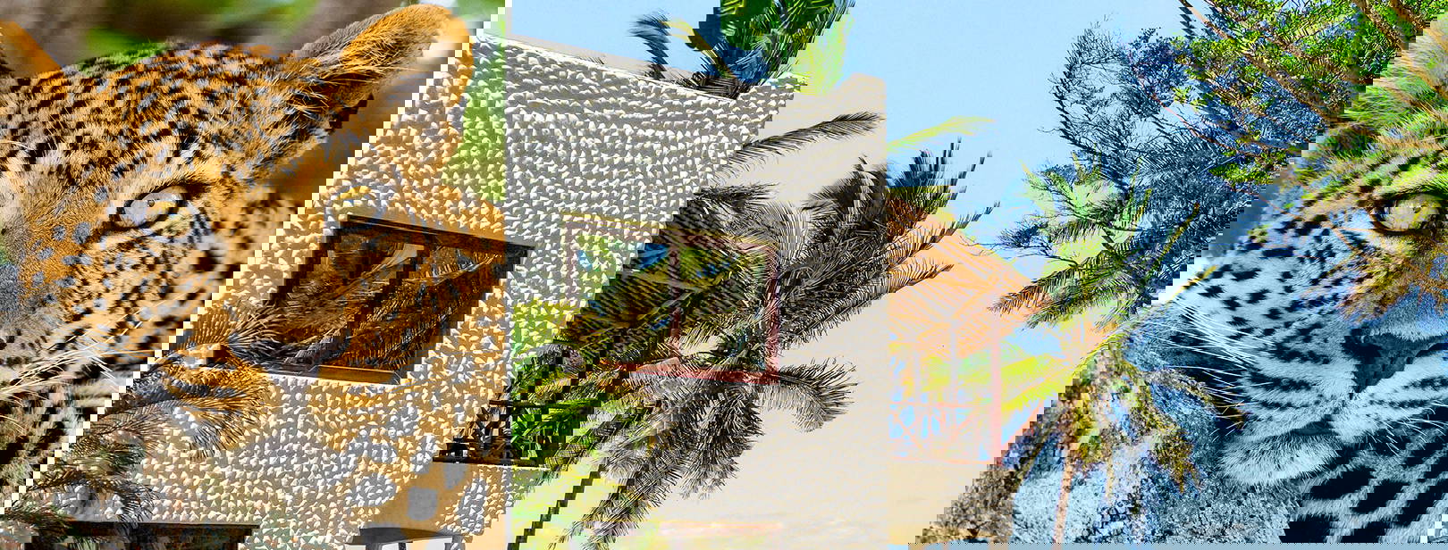 Jacaranda Indian Ocean Beach Resort KST Obrázok0