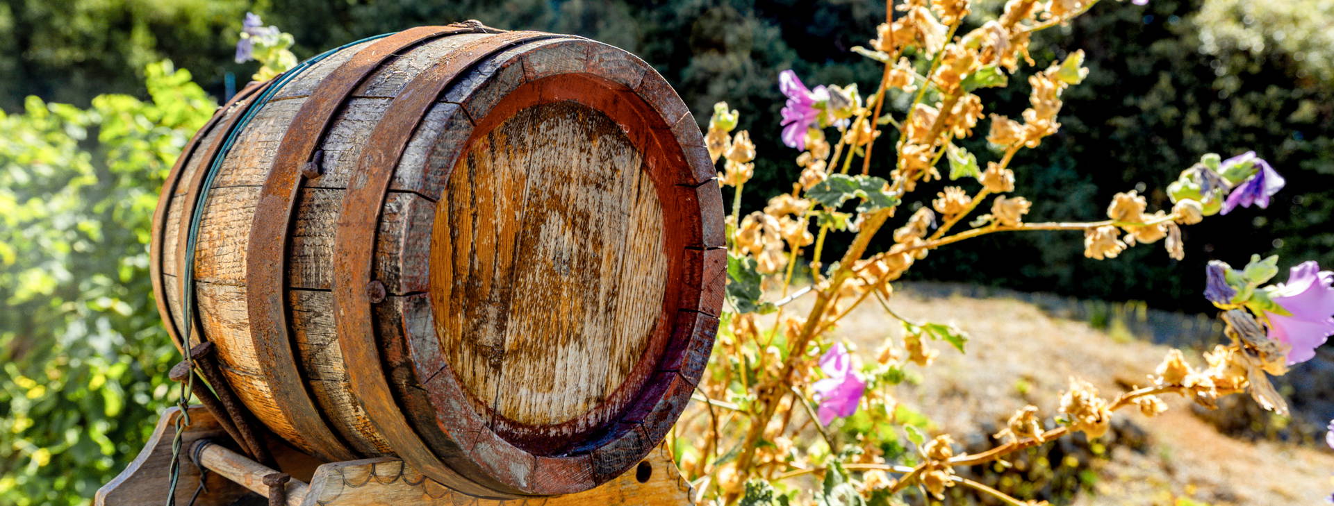 Ubytování CAR Obrázok7