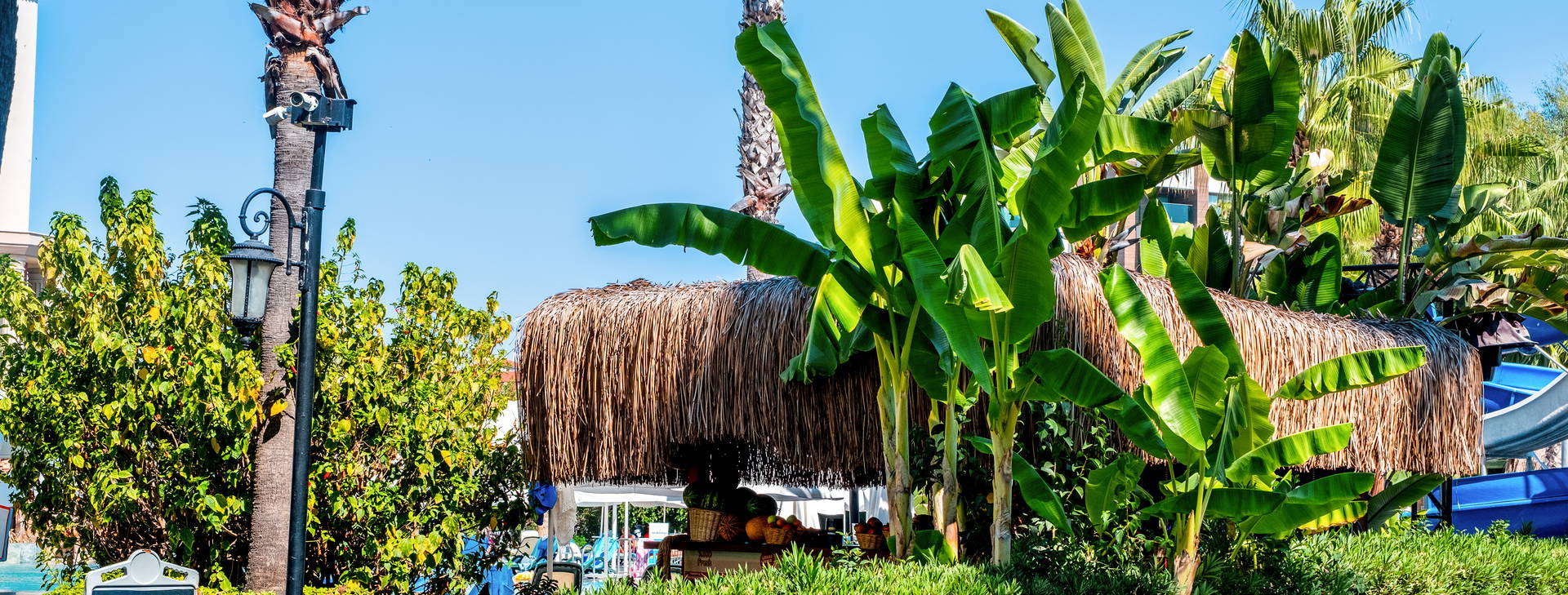 Bella Resort and Spa Obrázok44