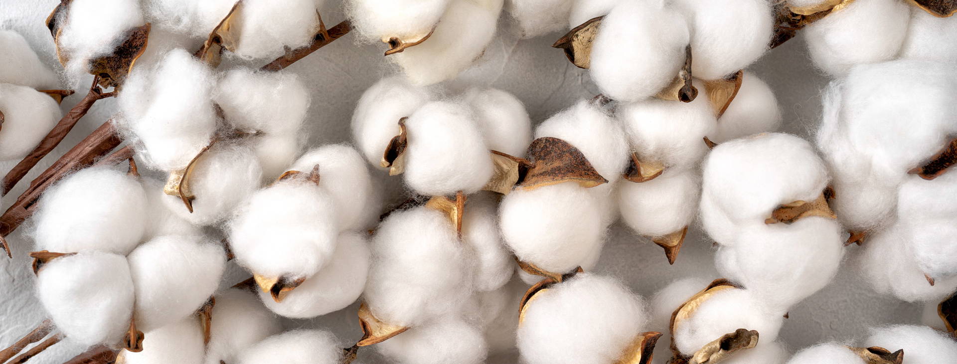 Ubytování CZZ Obrázok16