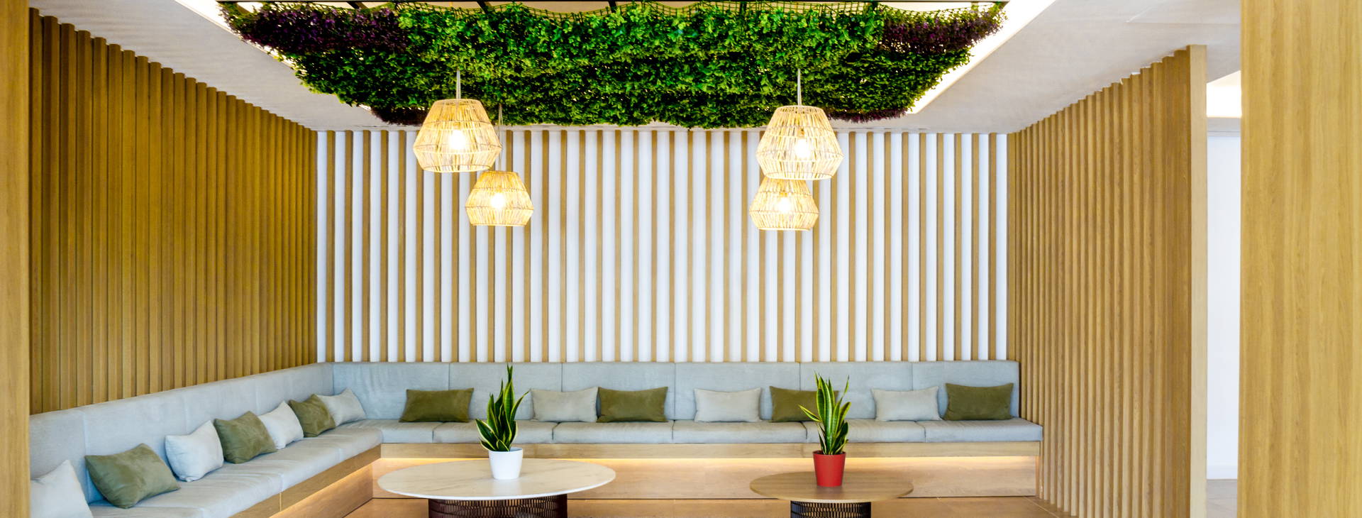 Ibersol Siurell Obrázok22