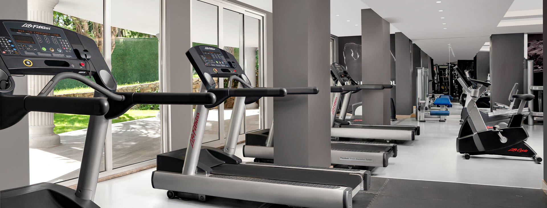 Papillon Belvil Obrázok18