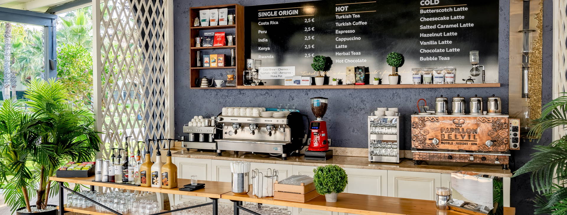 Papillon Belvil Obrázok8