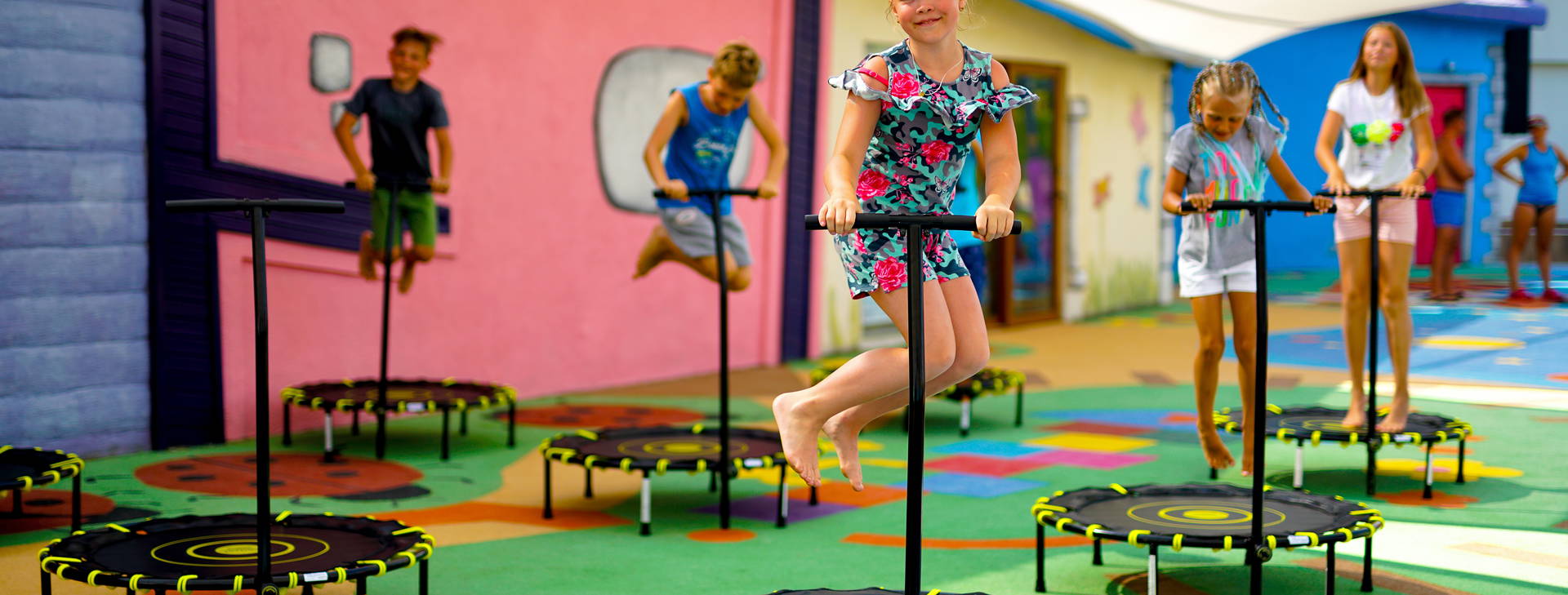 Papillon Belvil Obrázok13