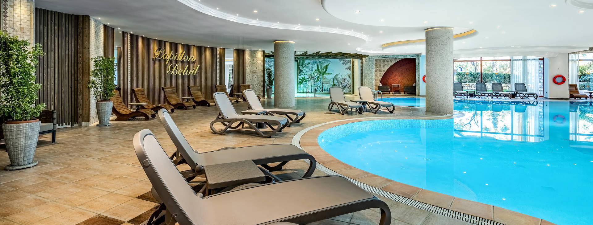 Papillon Belvil Obrázok17