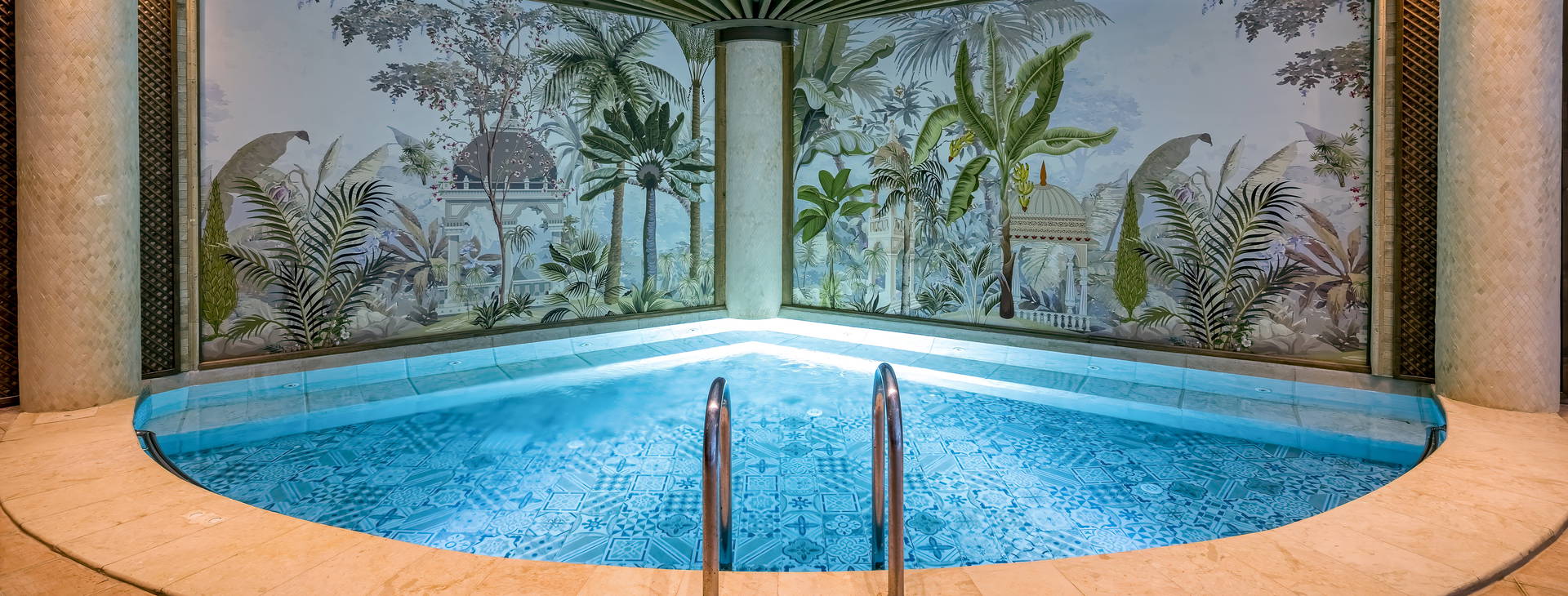 Papillon Belvil Obrázok12