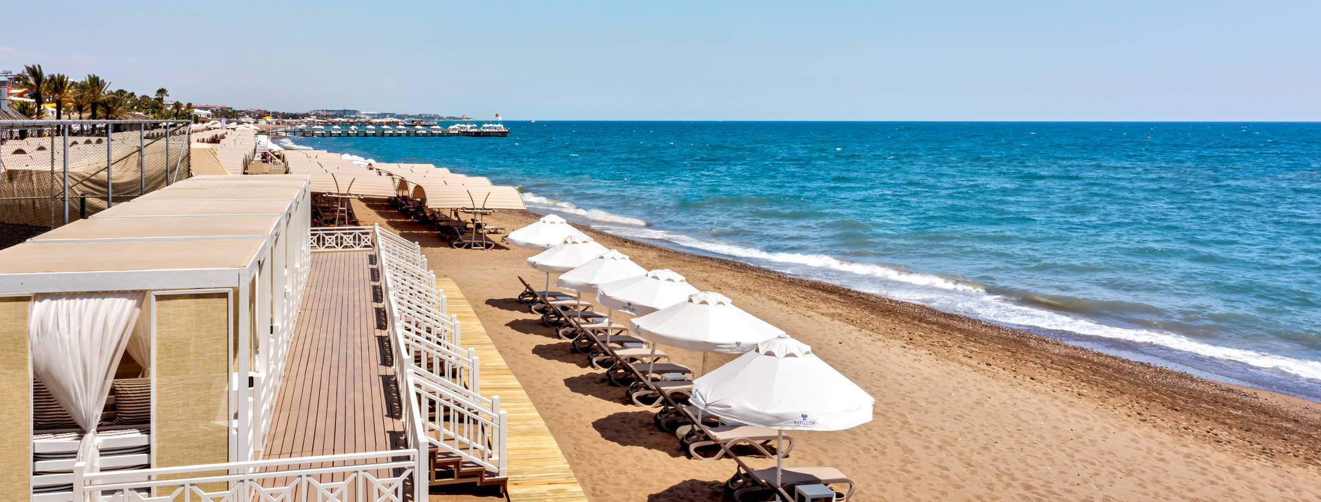 Papillon Belvil Obrázok8