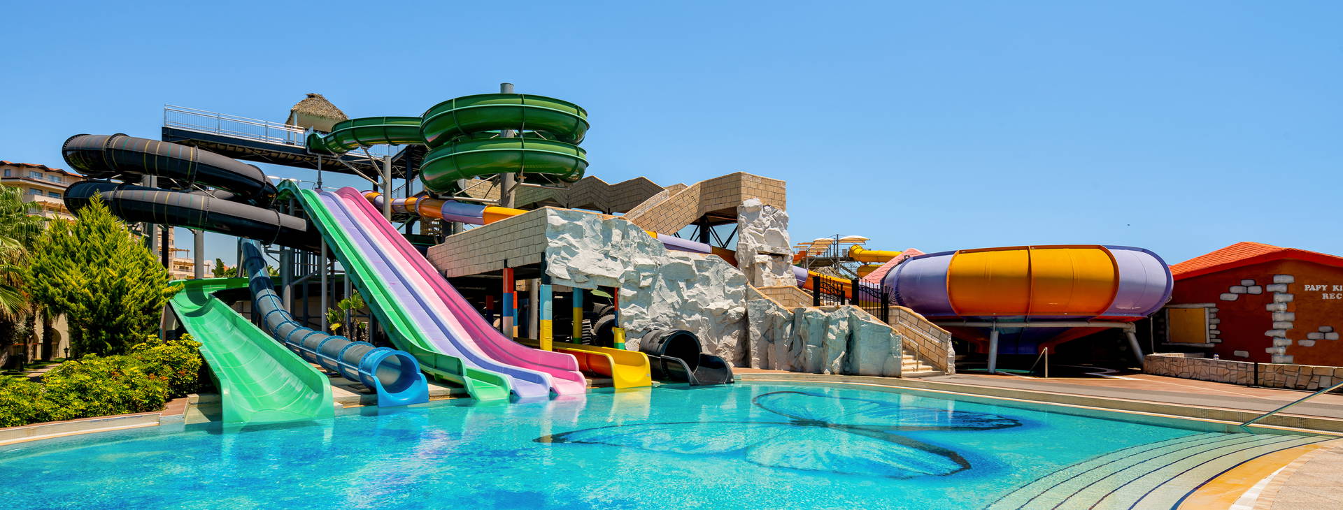 Papillon Belvil Obrázok3