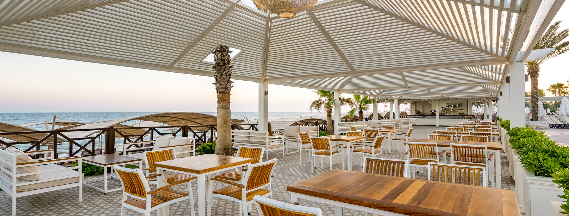 Papillon Belvil Obrázok14