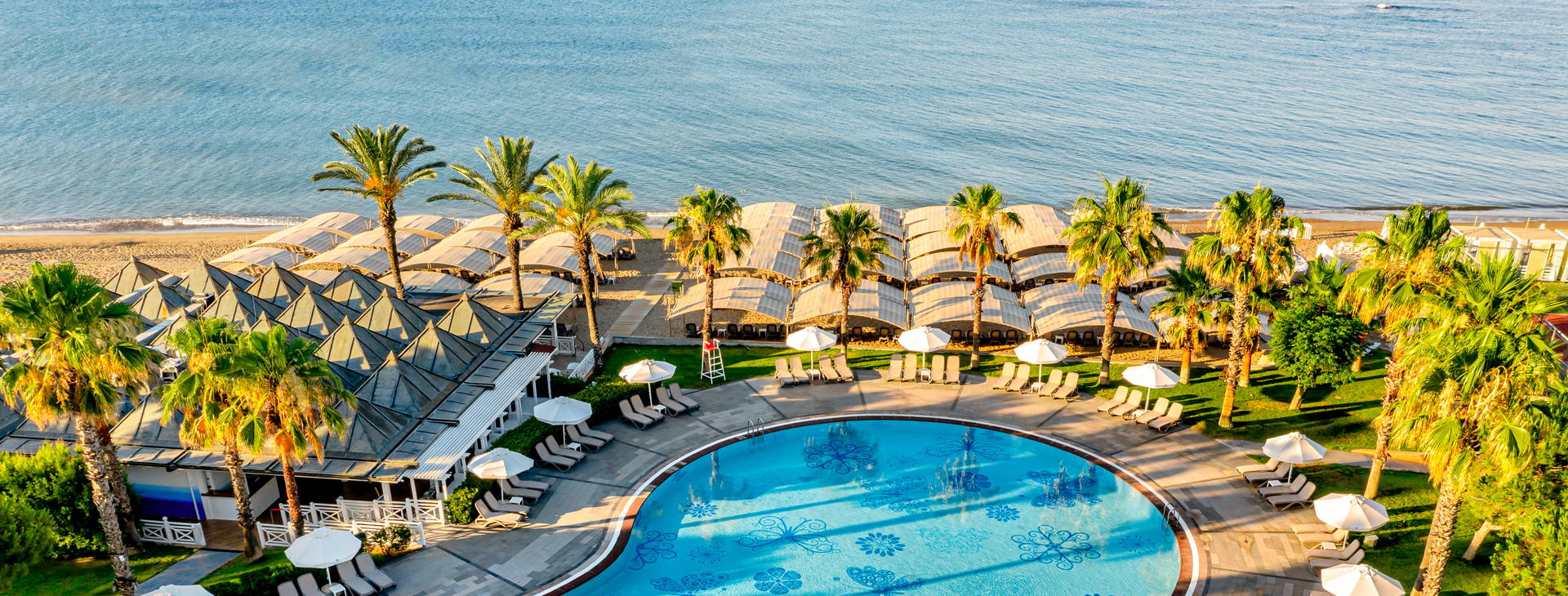 Papillon Belvil Obrázok3