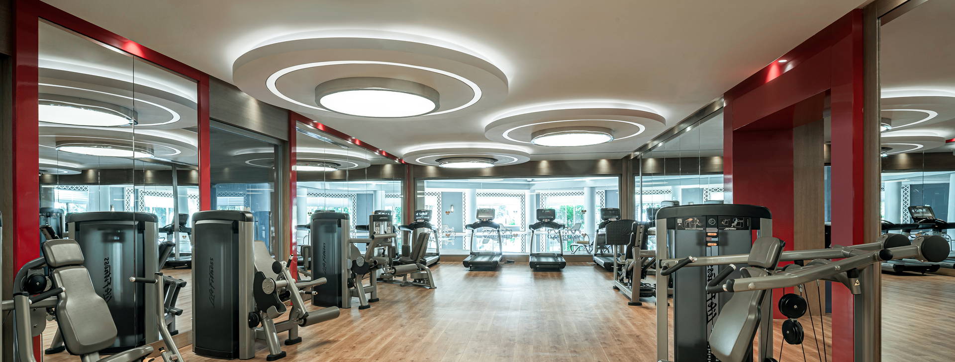 Papillon Zeugma Obrázok8