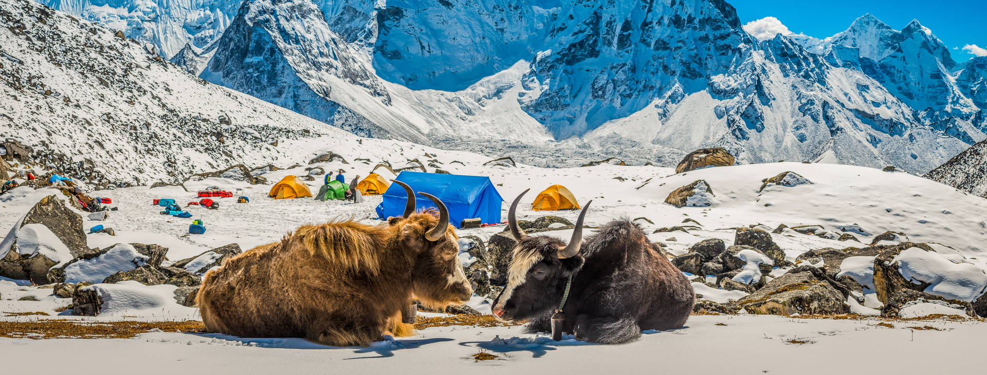 Ubytování IAN Obrázok0