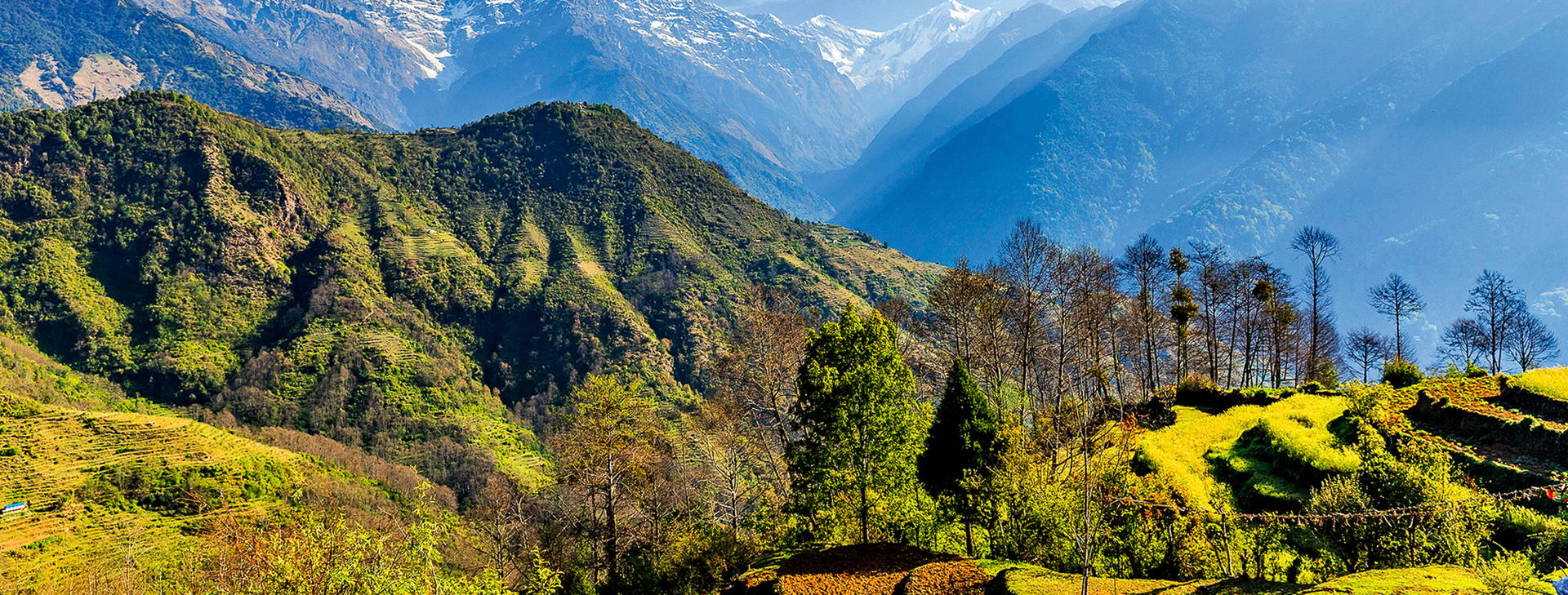 Ubytování IAN Obrázok11