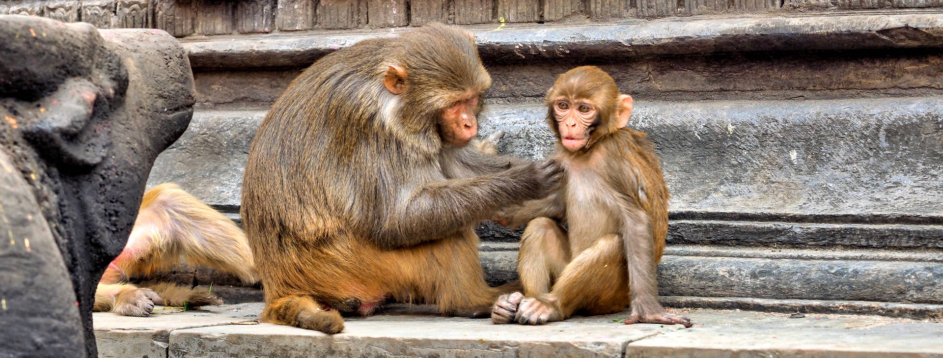 Ubytování IAN Obrázok19