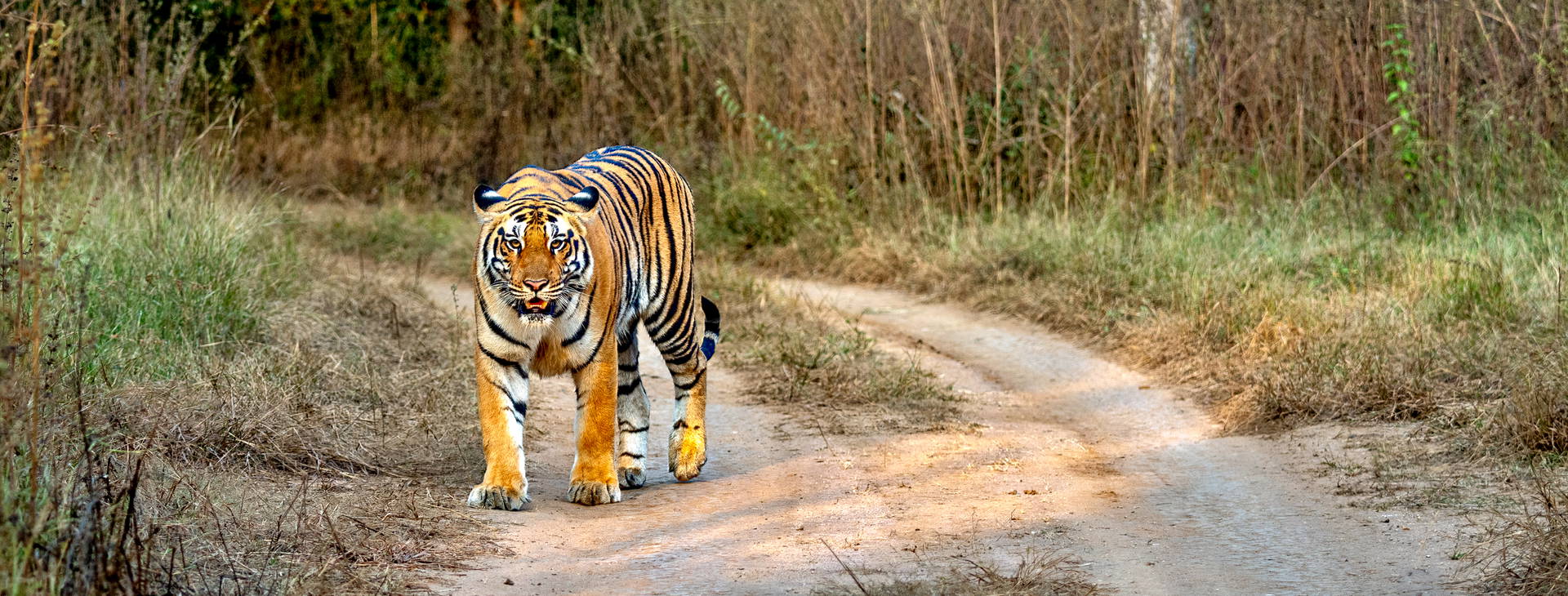 Ubytování IAN Obrázok26