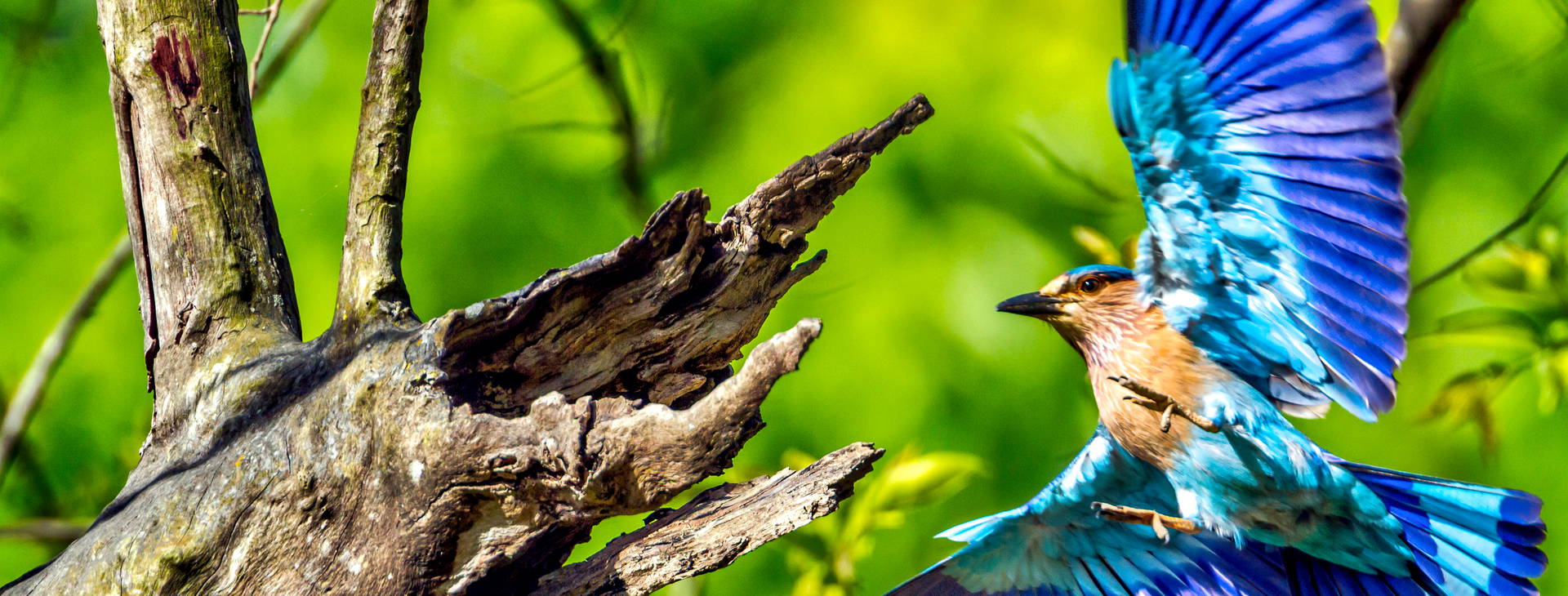 Ubytování IAN Obrázok27