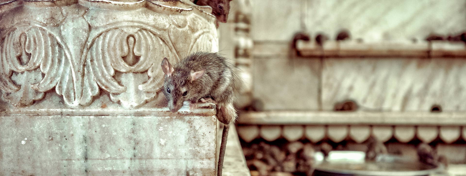 Ubytování INR Obrázok33