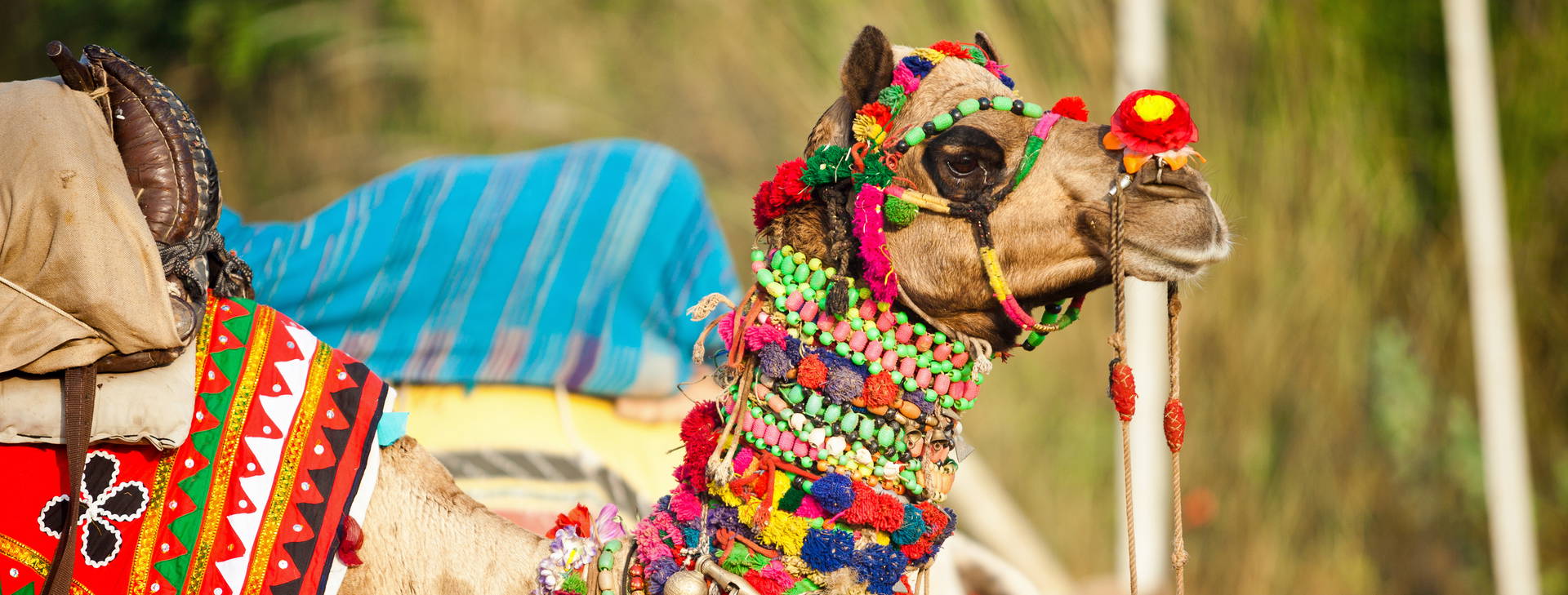 Ubytování IXR Obrázok33