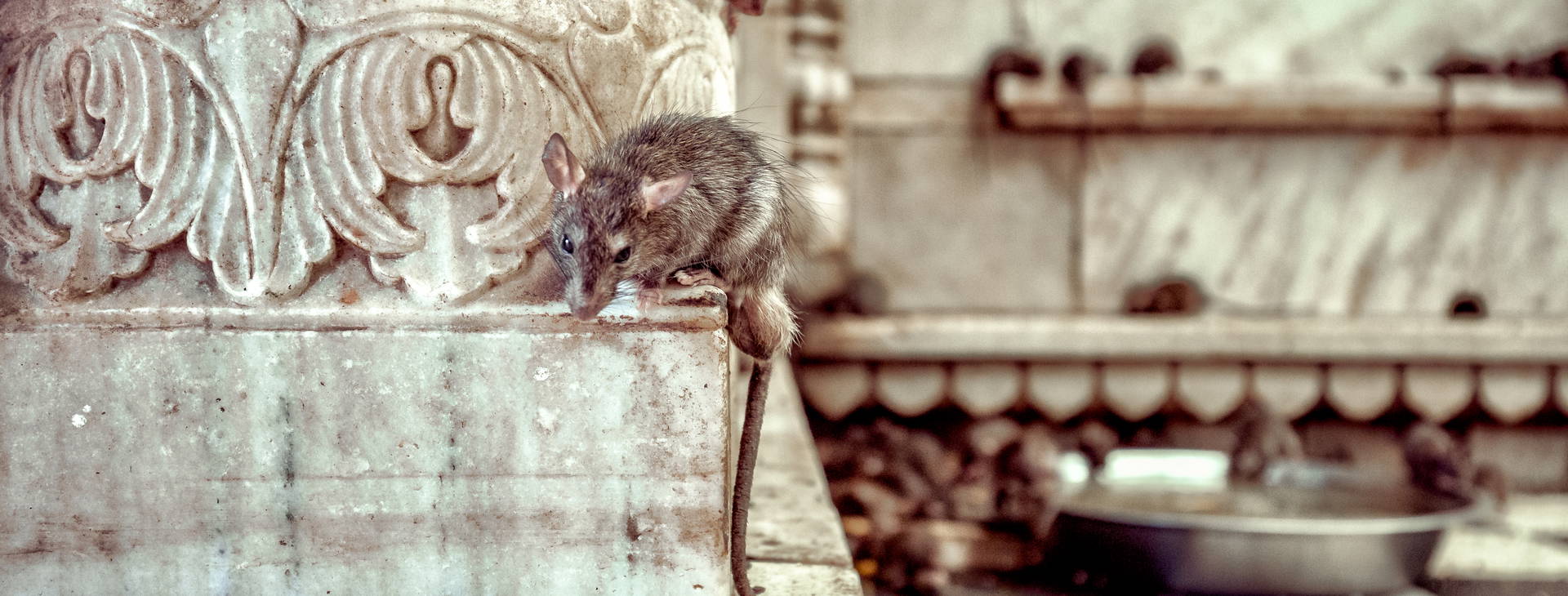 Ubytování IXR Obrázok39