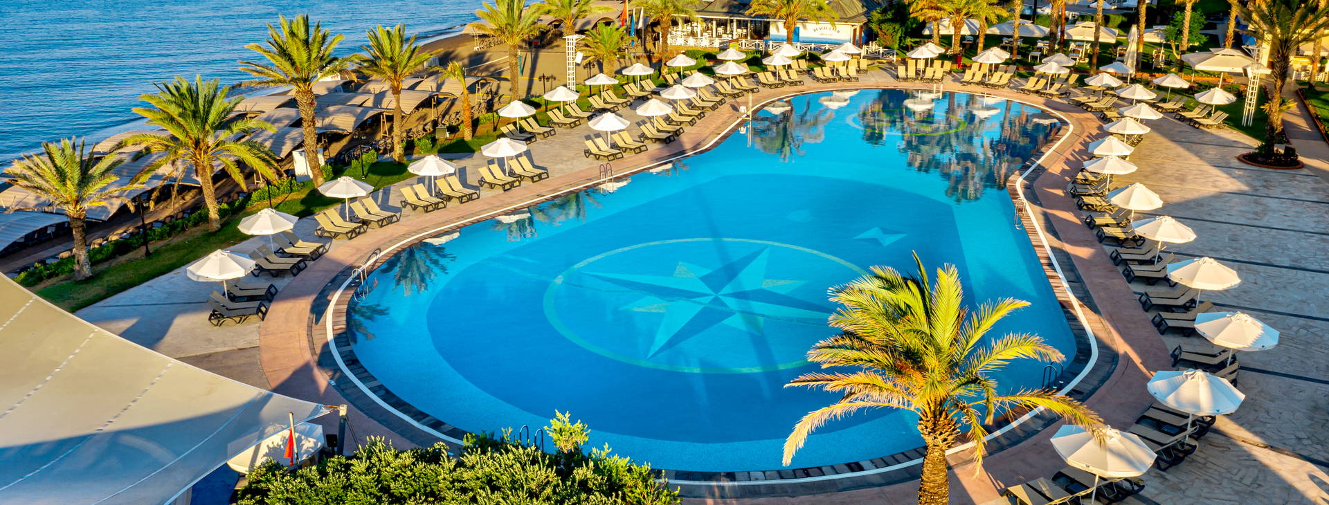 Papillon Belvil Obrázok5