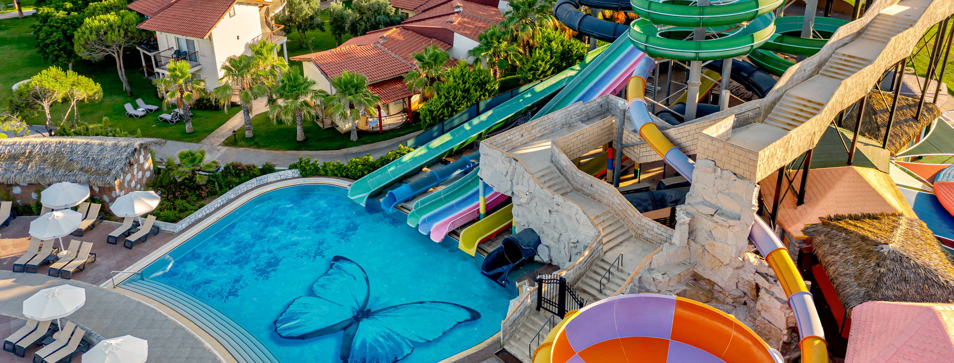 Papillon Belvil Obrázok9