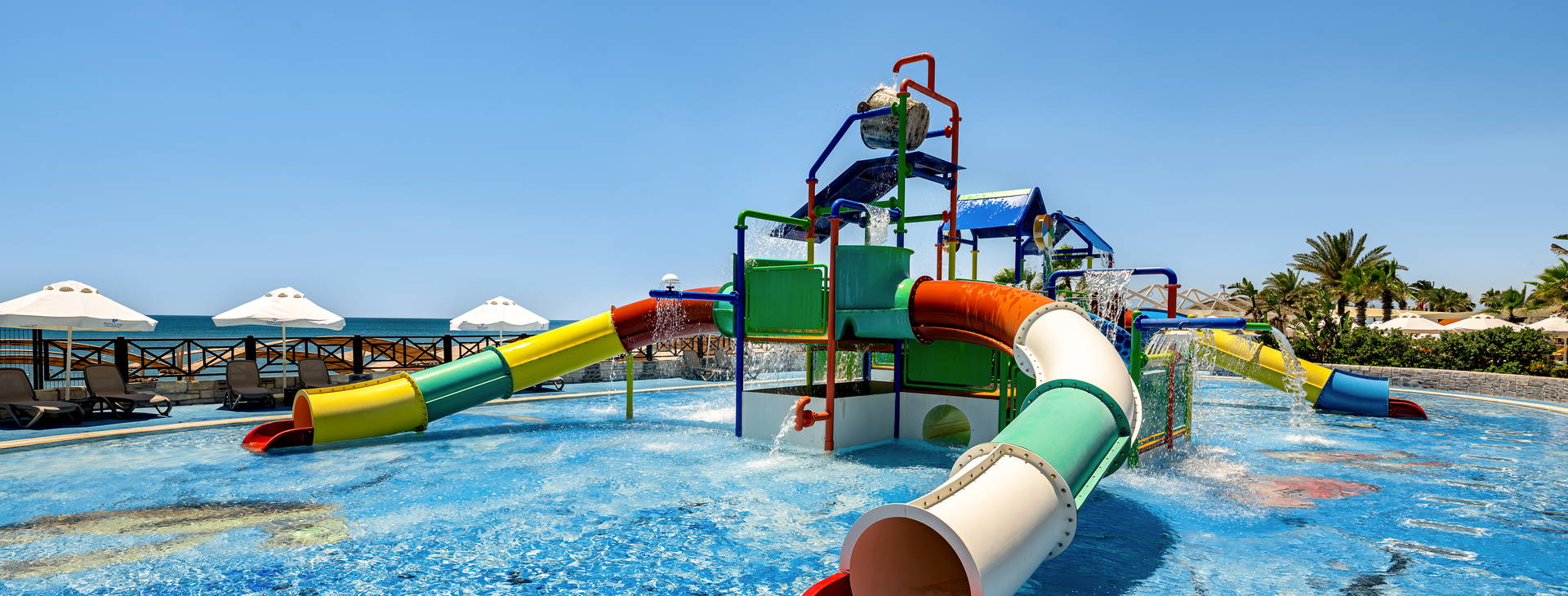 Papillon Belvil Obrázok10