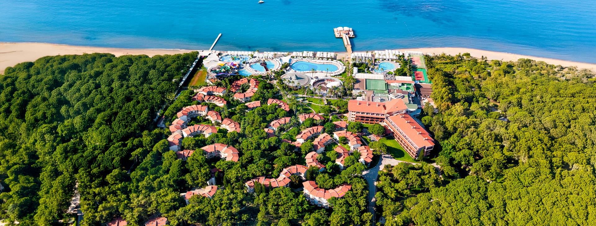 Papillon Belvil Obrázok12