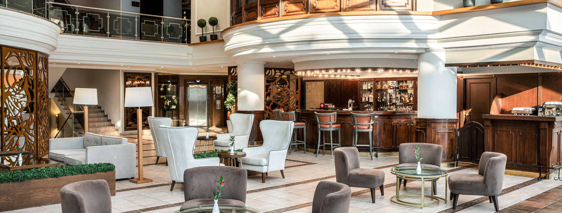 Papillon Belvil Obrázok19