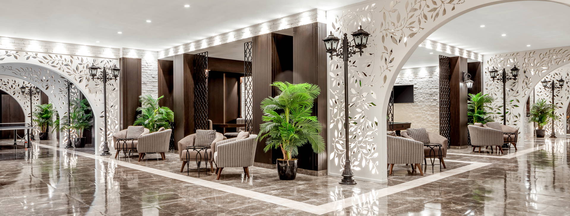 Papillon Belvil Obrázok25