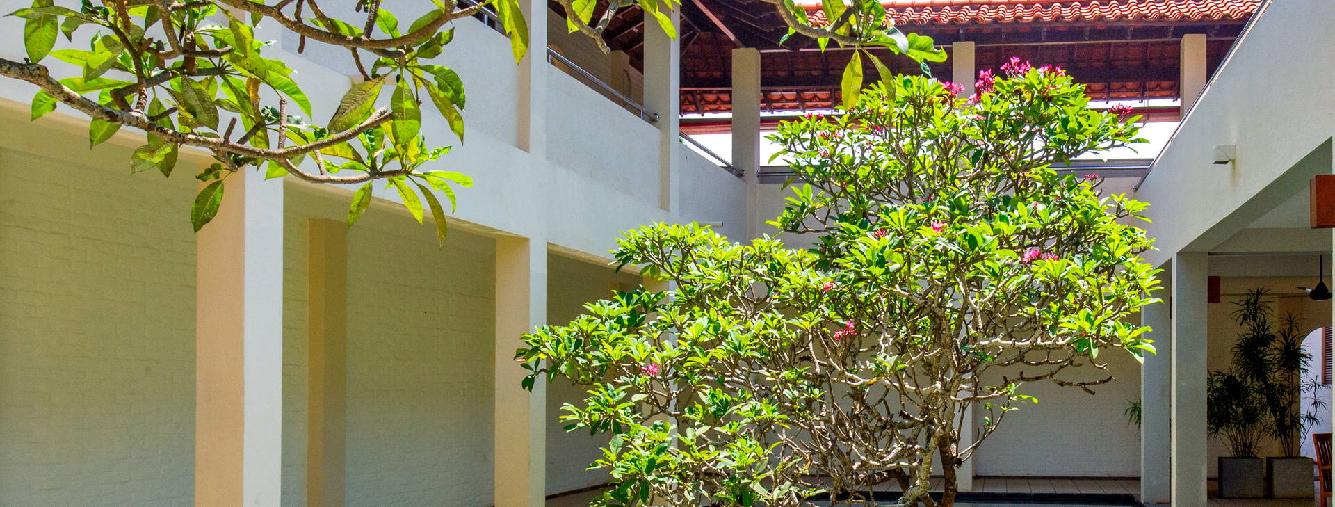 Mermaid Hotel & Club  Obrázok18