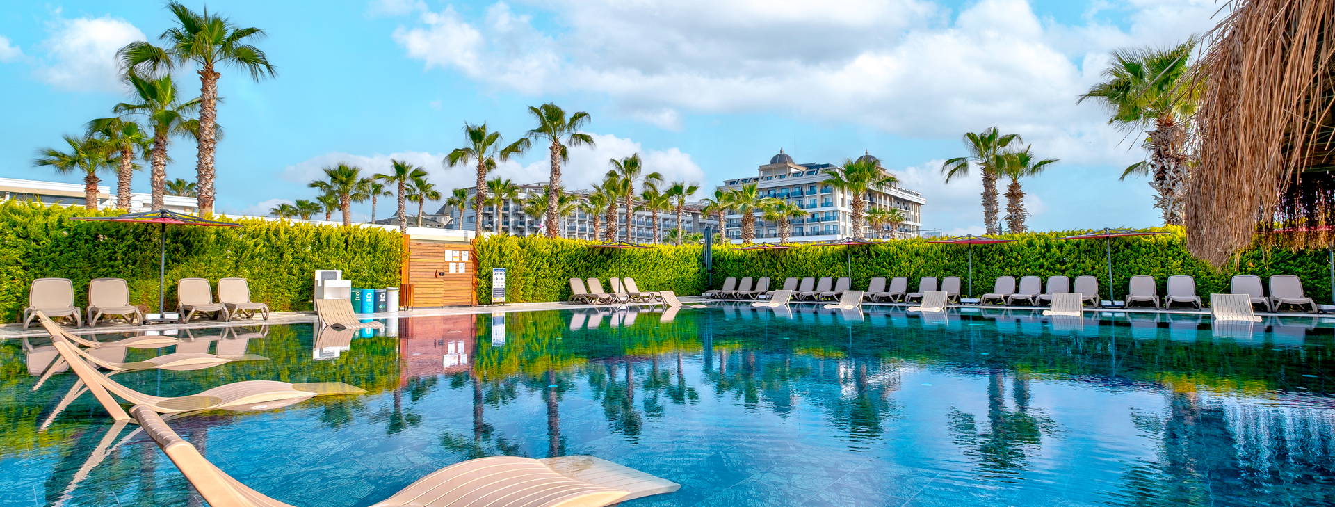 Serenity Queen Obrázok6