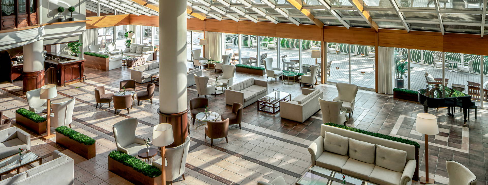 Papillon Belvil Obrázok26