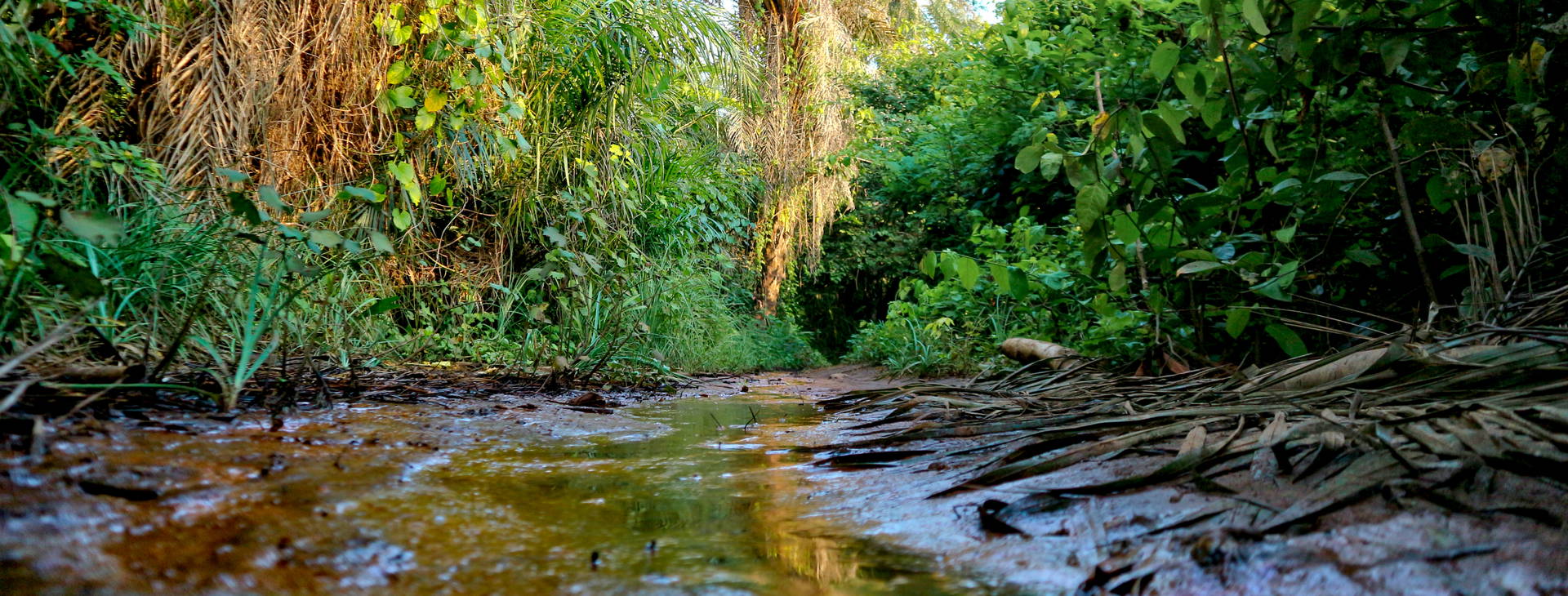 Ubytování GSM Obrázok25