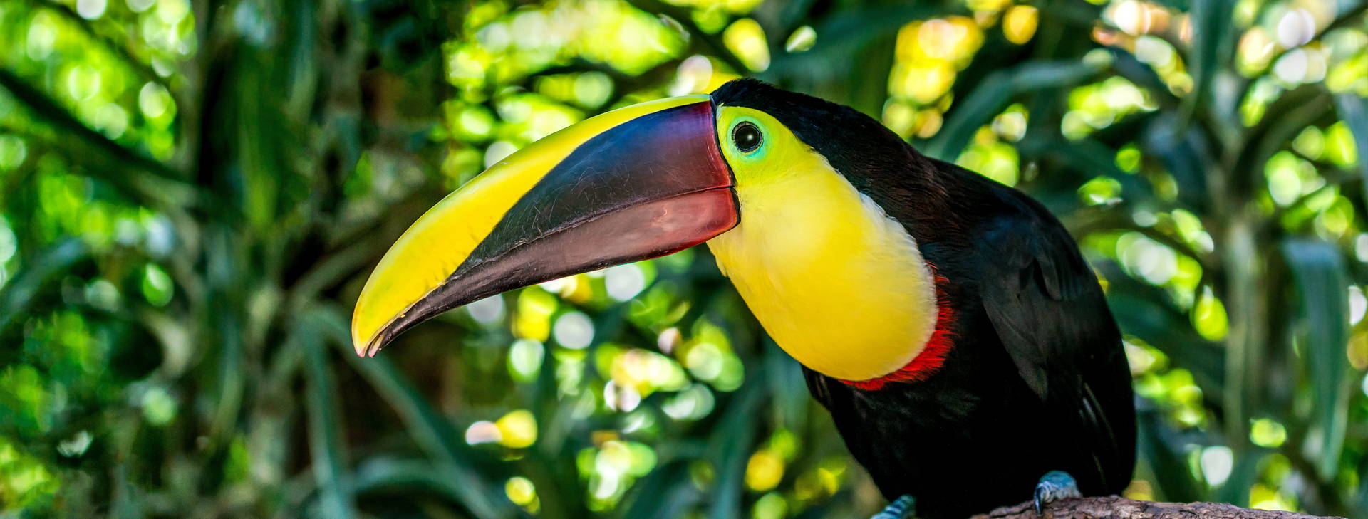 Ubytování PKN Obrázok11