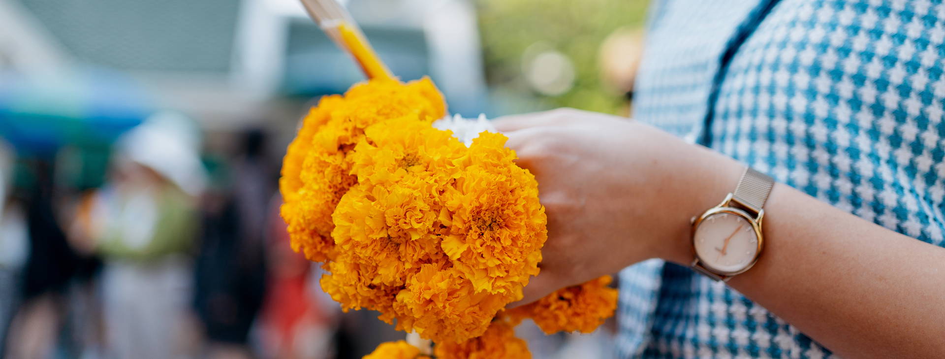 Ubytování TPT Obrázok10