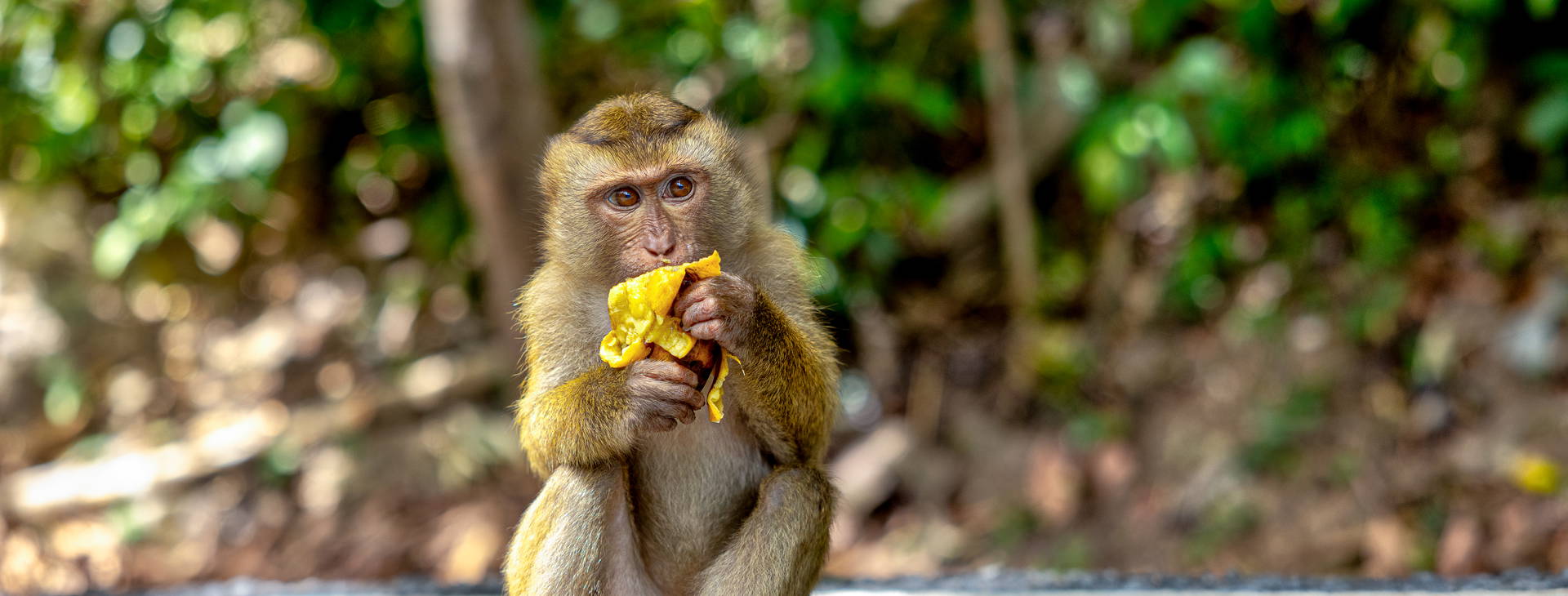 Ubytování TPT Obrázok12