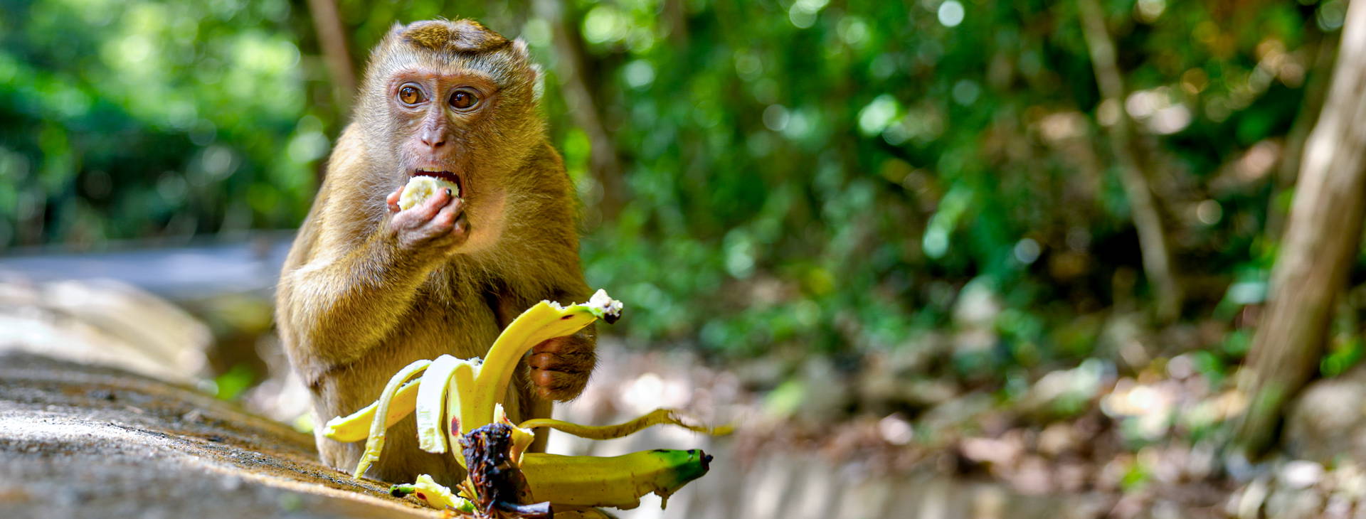 Ubytování TPT Obrázok22