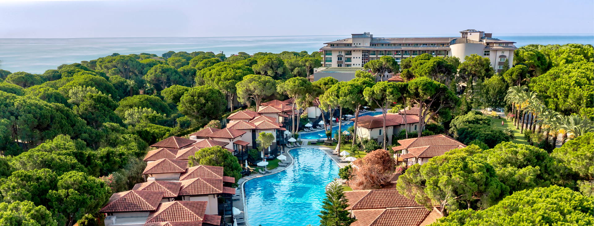 Papillon Ayscha  Obrázok5