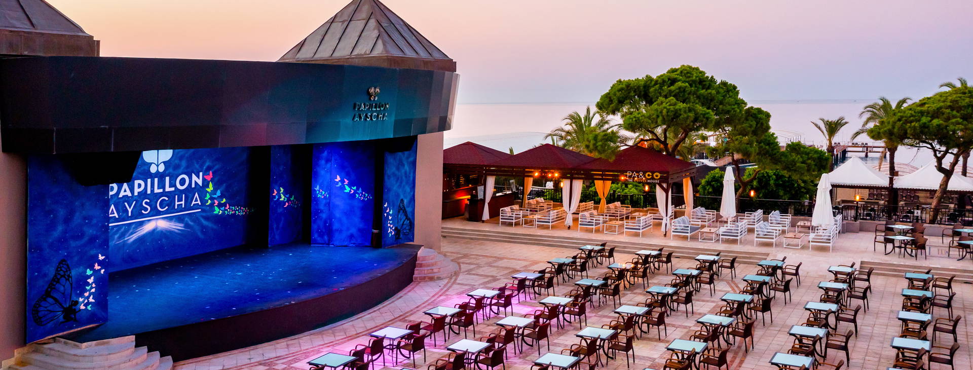 Papillon Ayscha  Obrázok19